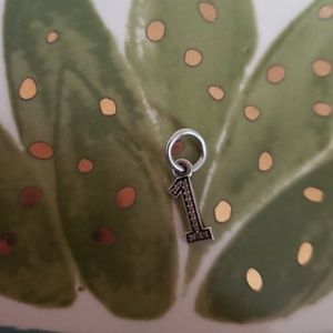 1 pandora charm